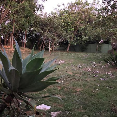 Gerais Loft Lejlighed São Roque de Minas Eksteriør billede